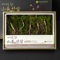 몸애조화 한국임업진흥원인증 산양삼 5년근 5뿌리 선물세트, 1세트