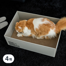 우다다맨숀 특대형 박스 스크래쳐, 웜그레이, 4개