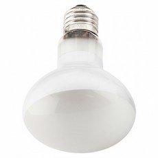 OTTO 建興水族 奧圖 75W爬蟲聚熱燈泡 提供UVA光波 提升環境溫度, 白色, 1個