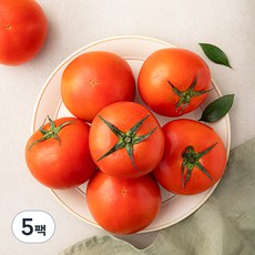 광식이농장 완숙 토마토, 1.5kg, 5팩
