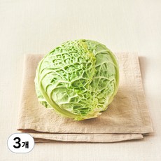 친환경 사보이 양배추, 500g, 1개입, 3개