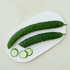 친환경 가시오이, 1개, 2개입