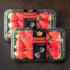 산지직송 부성 알타킹 딸기, 550g, 2팩