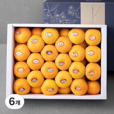 귤탐 당도선별 12Brix 하우스감귤 세트, 3kg, 6개