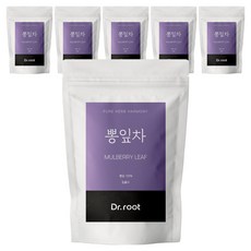 닥터루트 뽕잎 삼각티백, 1.2g, 25개입, 6개