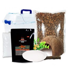 Rora Pet 寄居蟹飼養套組, 混合顏色, 1個