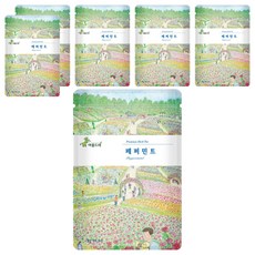 아름드레 프리미엄 삼각티백 페퍼민트, 1.1g, 25개입, 6개