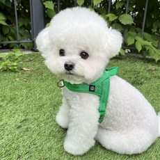 Mungtem 寵物訓練反光胸背帶, 綠色