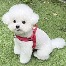 Mungtem 寵物訓練反光胸背帶, 紅色的