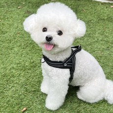 Mungtem 寵物訓練反光胸背帶, 黑色的