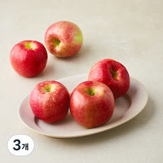 가족 감홍 사과 중과 5~6개입, 3개, 1.3kg