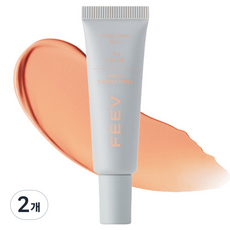 피브 플러피 치크 블러쉬 10g, 2개, 밀크 탠저린