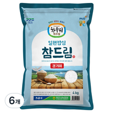 한수위파주쌀 농협 일편밥심 참드림 경기미 백미, 4kg, 6개, 상등급