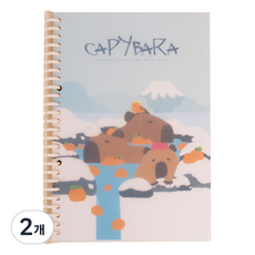 ARTJOY 水豚活頁B5活頁筆記本, A 01, 2個