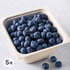 아주마 산지직송 영동 블루베리, 250g, 5개