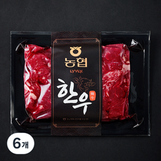농협 한우 정육 절단 1등급 국거리용 (냉장), 6개, 300g