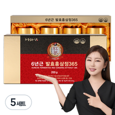 정원삼 6년근 발효홍삼정365 + 쇼핑백, 800g, 5세트