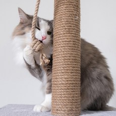 Gaembuji 貓用三股貓抓板替換麻繩 大容量 10mm, 單一顏色, 50m