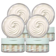네이처리퍼블릭 포레스트 가든 병풀 휩 폼 클렌저, 90ml, 4개