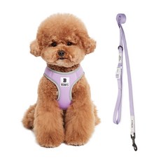 Bennys 寵物胸背帶+牽繩 1.5m, 紫色, 1組