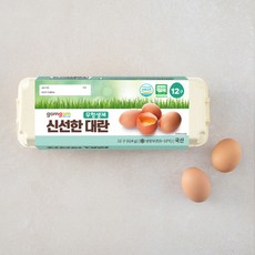 곰곰 무항생제 신선한 대란, 12구, 1개