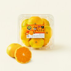 올레길 AI 당도선별 11brix 감귤, 800g(대과), 1개