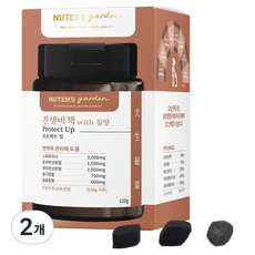 누터스가든 강이지 견생비책 프로텍트 업 120g, 면역/항산화, 120정, 2개