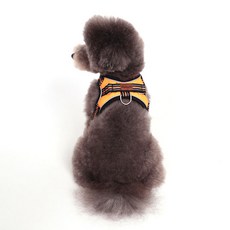 DING DONG PET 狗狗牛津胸背帶, 橘色