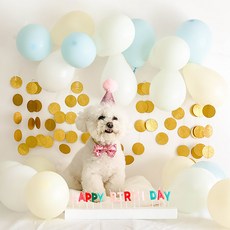 딩동펫 반려동물 생일파티 용품세트, 핑크글리터, 1세트