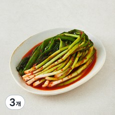 우리땅에놀던 전라도 파김치, 450g, 3개