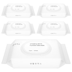 Saengong 生活工作所 掀蓋濕式衛生紙, 60張, 5包