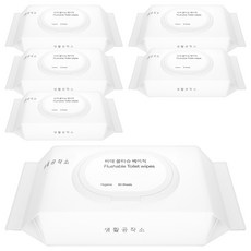 Saengong 生活工作所 掀蓋濕式衛生紙, 60張, 6包