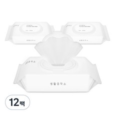 생활공작소 비데 물티슈 캡형, 60매입, 12개