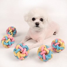 DING DONG PET 寵物粉彩鈴鐺球玩具組 小型, 混和色, 5個