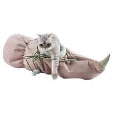 딩동펫 고양이 연근터널 놀이터, 그레이, 1개