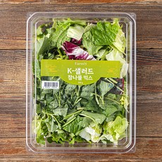팜에이트 K-샐러드 참나물 믹스, 250g, 1개