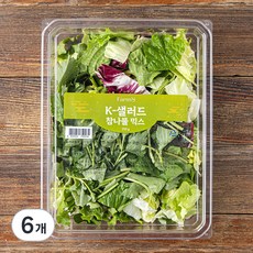 팜에이트 K-샐러드 참나물 믹스, 250g, 6개