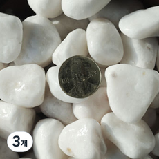 수아쿠아 네이처굿즈 백자갈 25~30mm, 3개, 2kg