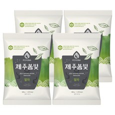 포모나 제주봄빛 말차 파우더, 500g, 1개입, 4개