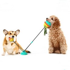 Devence 狗狗拉扯遊戲玩具吸盤+球 2入, 翠, 1套