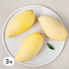 과일엔 태국산 골드 망고 3입, 1kg, 3개