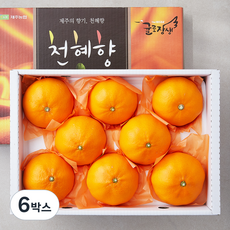 당도선별 제주 위미농협 천혜향, 3kg(대과, 8~11입), 6박스
