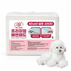 닥터파파 프리미엄 배변패드 20g, 100개입, 1개