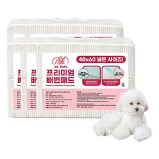 닥터파파 프리미엄 배변패드 20g, 100개입, 5개