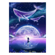 創彩 5D鑽石畫 40x30cm, 附點鑽工具：點鑽盤+點鑽筆+點鑽專用膠泥, 銀河女孩, 1組