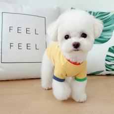 Baby Dog Multi-Zulgarati DT038, 黃色