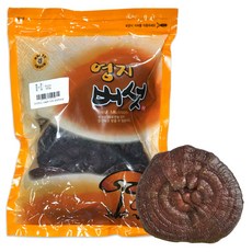 동광종합물산 국내산 찐 영지버섯, 500g, 1개, 1개입