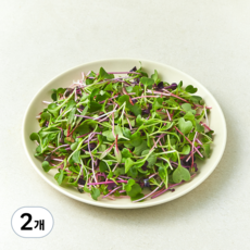 친환경 어린잎 채소, 500g, 2개