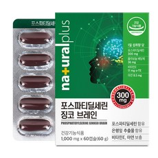 내츄럴플러스 포스파티딜세린 징코 브레인, 60정, 1개