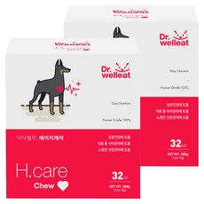닥터웰릿 강아지 영양간식, 에이치케어, 288g, 2개